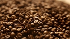 Sustainability of global coffee production 'at risk'