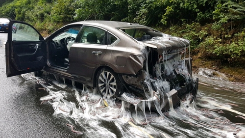 Hundreds of eels slime OR highway after truck rollover Hundreds of eels slime OR highway after truck rollover