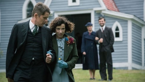 Ethan Hawke and Sally Hawkins in Maudie Ethan Hawke and Sally Hawkins in Maudie