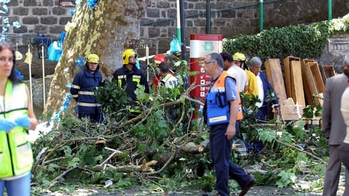 Falling tree kills 11 at religious festival in Portugal Falling tree kills 11 at religious festival in Portugal