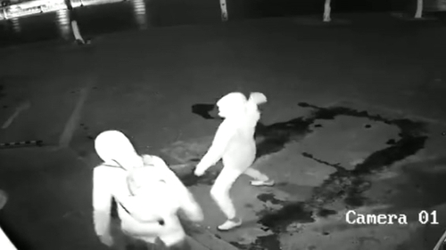 Attempted robbery goes wrong when suspect knocks out accomplice with brick