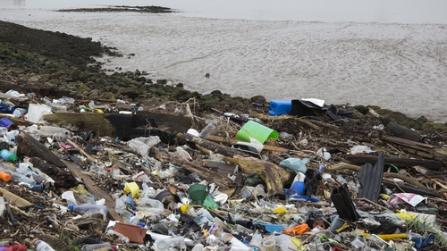 Researchers found 73% of deep water fish sampled had ingested plastic particles
