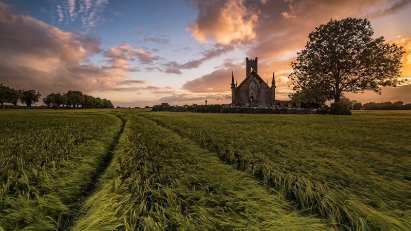 Summer 2017 WINNER - Piotr Dominiak, Ballinafagh Church ruins, Co. Kildare