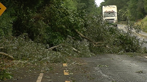 People are advised not to go near fallen trees due to potentially live power lines in the area People are advised not to go near fallen trees due to potentially live power lines in the area