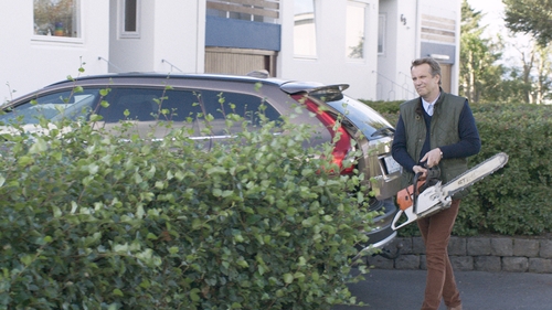 Careful with that chainsaw: Under the Tree, suburban tit-for-tat black comedy from Iceland Careful with that chainsaw: Under the Tree, suburban tit-for-tat black comedy from Iceland