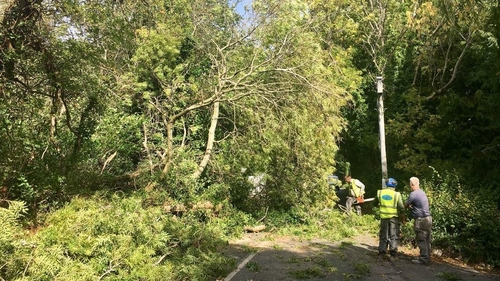 Ferndale Road, Rathmichael in Co Dublin closed due to a fallen tree Ferndale Road, Rathmichael in Co Dublin closed due to a fallen tree