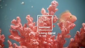 Pantone named "Living Colour" shade of the year for 2019 Pantone named "Living Colour" shade of the year for 2019