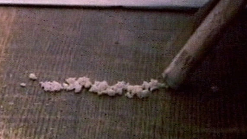 Jockeys who test positive for cocaine will now face a five year ban