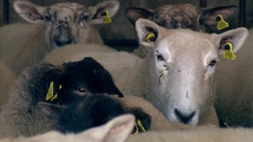 UK wants 'selective approach' to agri-food zone UK wants 'selective approach' to agri-food zone
