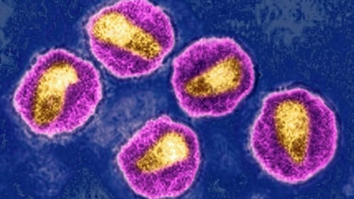 Second Person Goes Into HIV Remission After Stem Cell Treatment