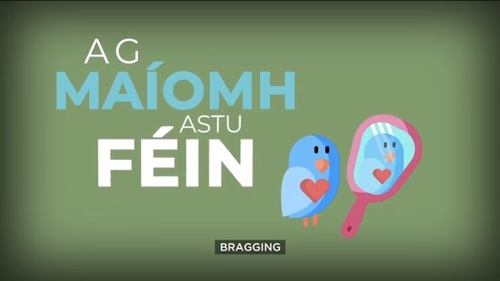'Molann an t-éan bréan é féin' and other such gems! 'Molann an t-éan bréan é féin' and other such gems!