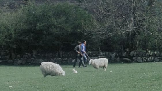 Armed farmers patrolling field, Glencullen, County Dublin (1979)