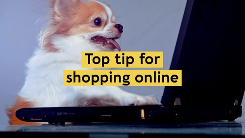 How to shop online the sustainable way How to shop online the sustainable way