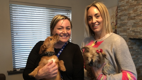 Meet the second leader for Operation Transformation Meet the second leader for Operation Transformation
