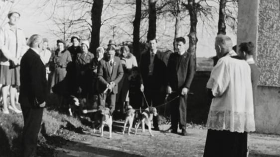 Beagle hunt blessing in the village of Kilfeacle, County Tipperary, 1963.