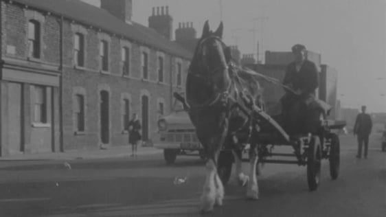 CIÉ delivery horse (1968)