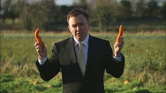 Reporter Barry Cummins holds wonky carrots, 2008.