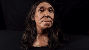 Scientists reconstruct skull of 75,000-year-old woman