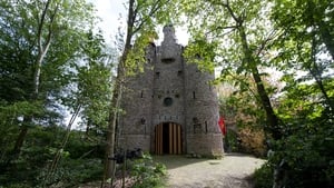 Lord of his manor: Dutchman builds huge castle in garden