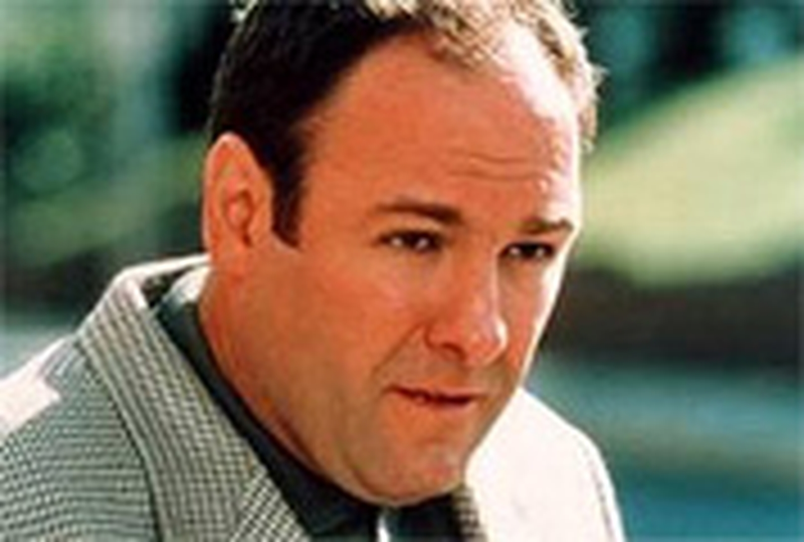 James Gandolfini to play Hemingway