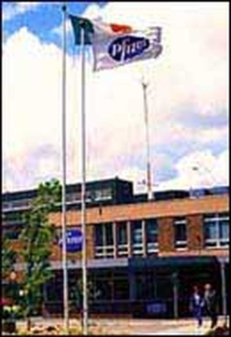 Pfizer Ireland plays down job doom