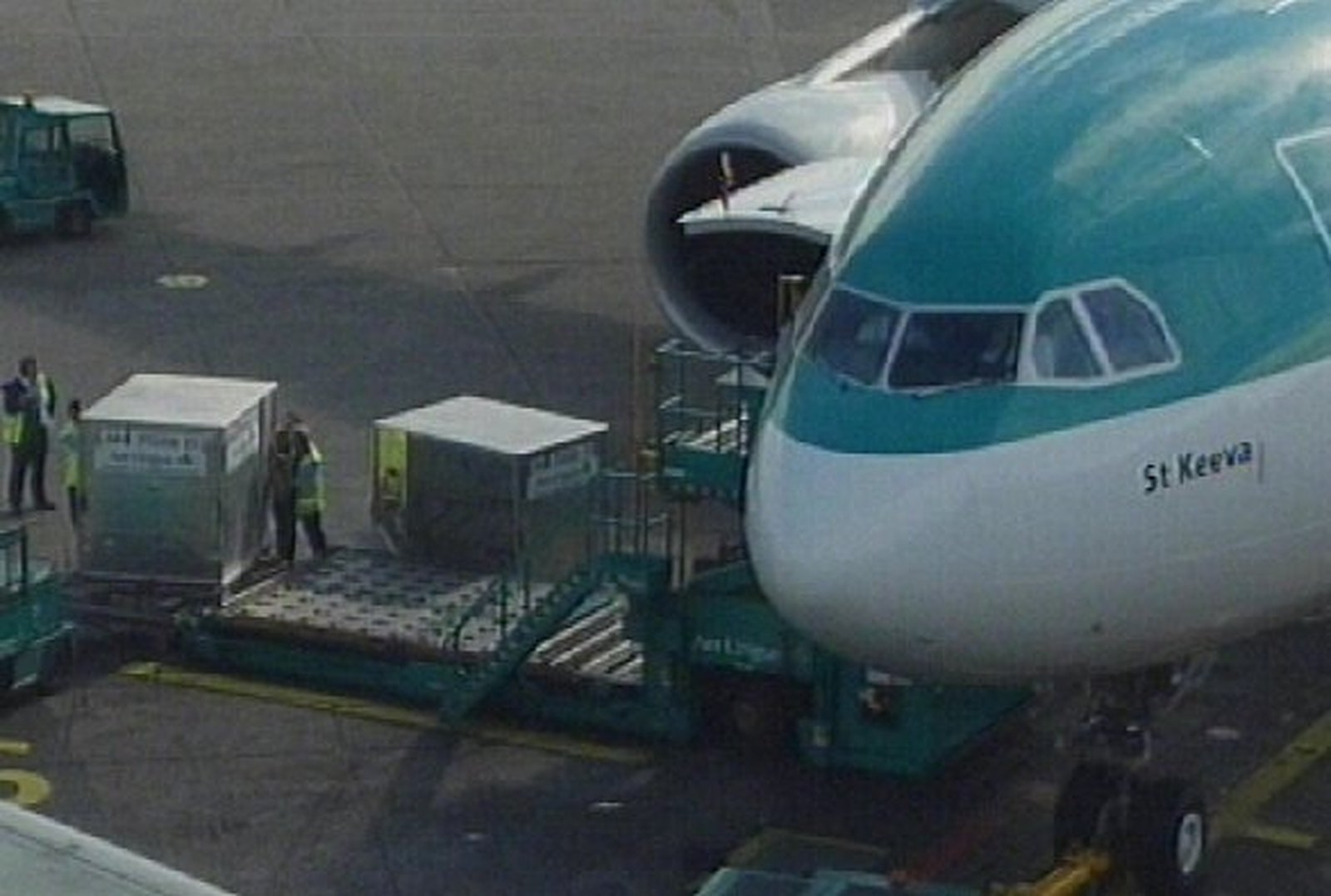 Aer Lingus lost hundreds of luggage items