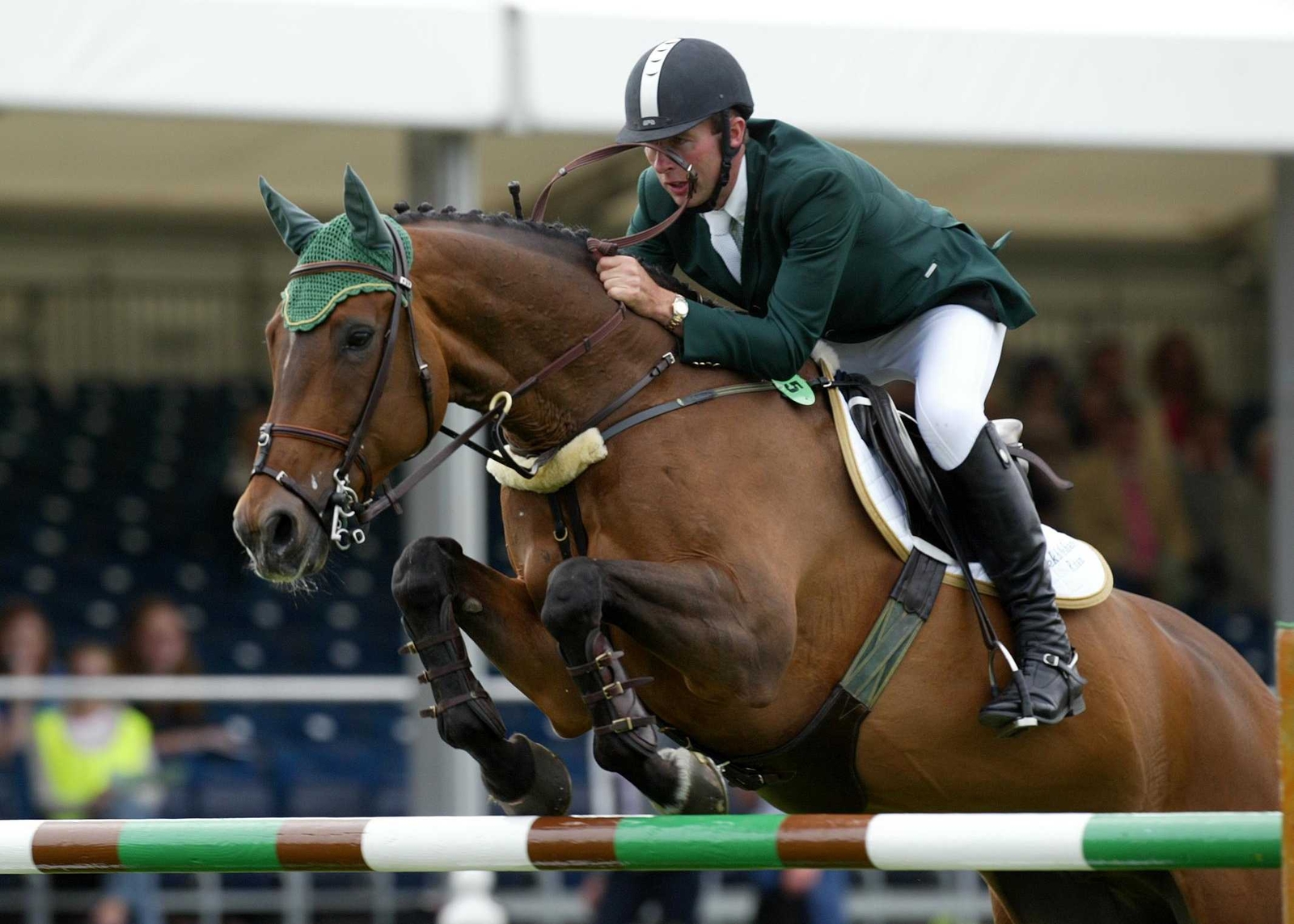 Irish dominate at Dublin Horse Show