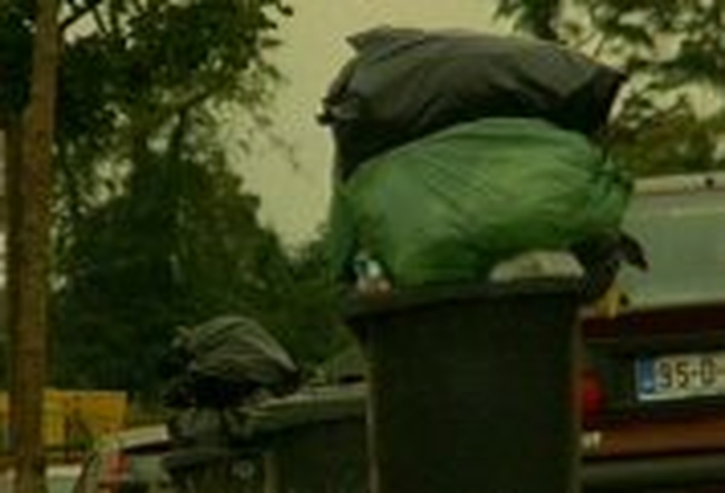 Council to withold Dublin bin services