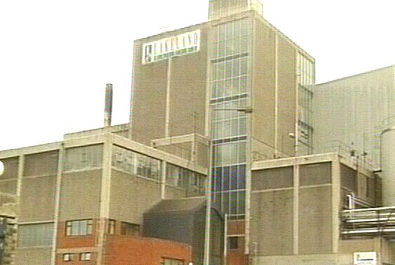 146 jobs to go at Lakeland Dairies