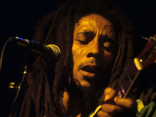 Novel explores attempted Bob Marley assassination