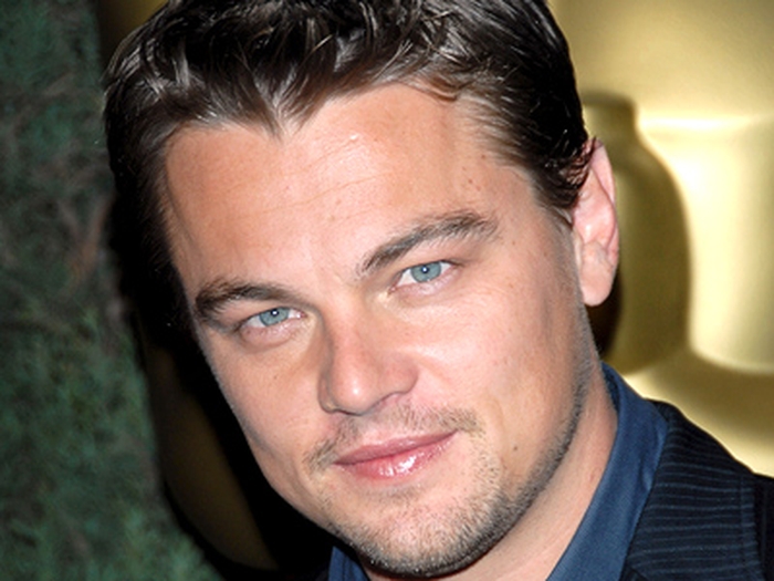 leonardo dicaprio hairstyle inception