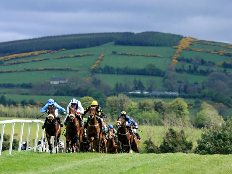 Review of Punchestown card