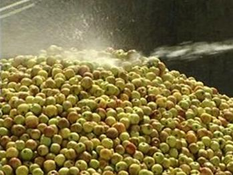 C&C buys UK cider assets of Constellation