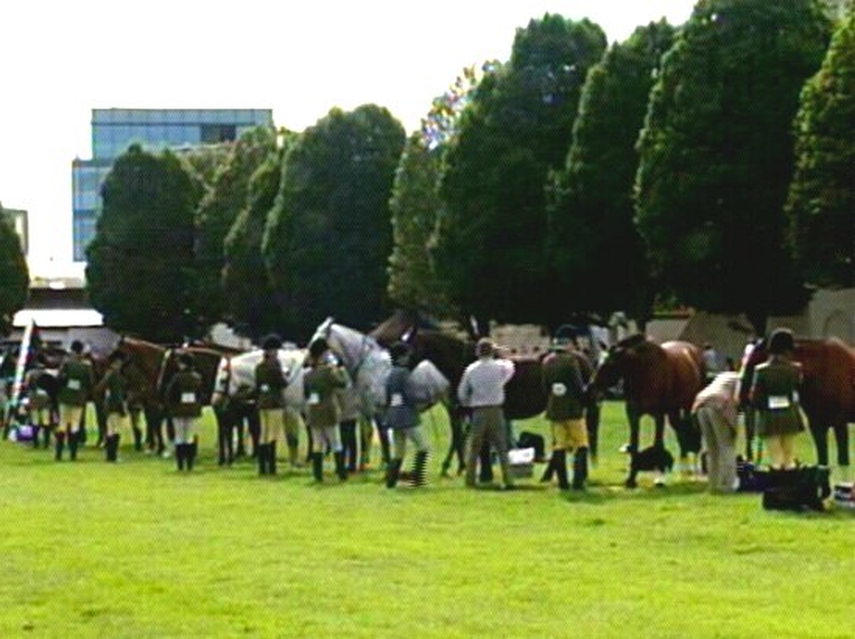 Army equestrian team future under threat Morning Ireland RTÉ Radio 1