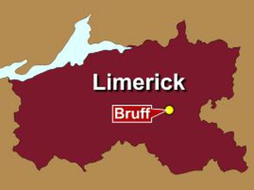 Limerick - Garda appeal for witnesses