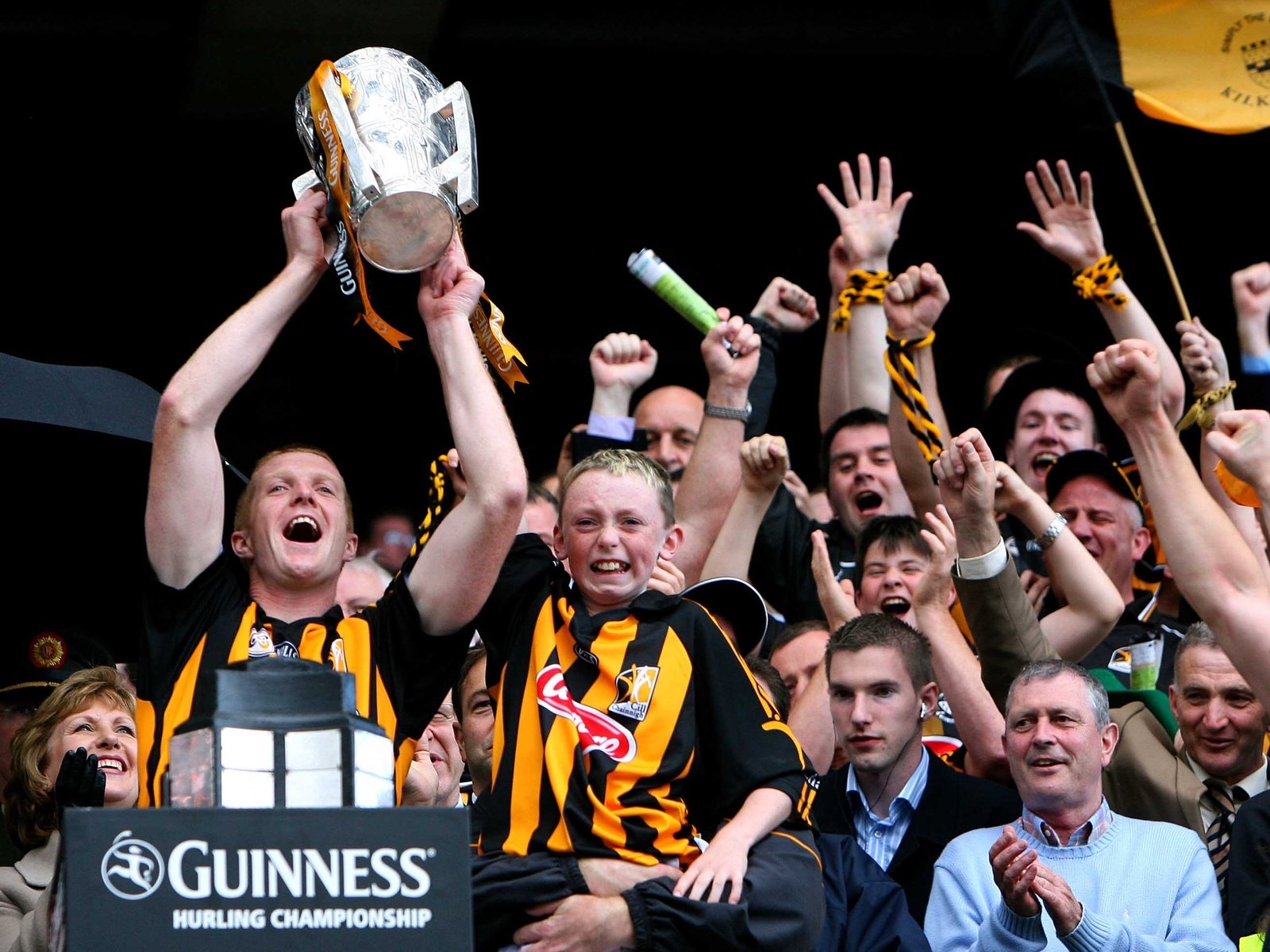 Kilkenny 219 Limerick 115