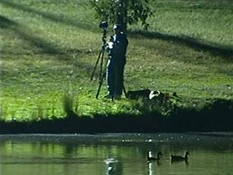 Body of child found in suitcase in Sydney