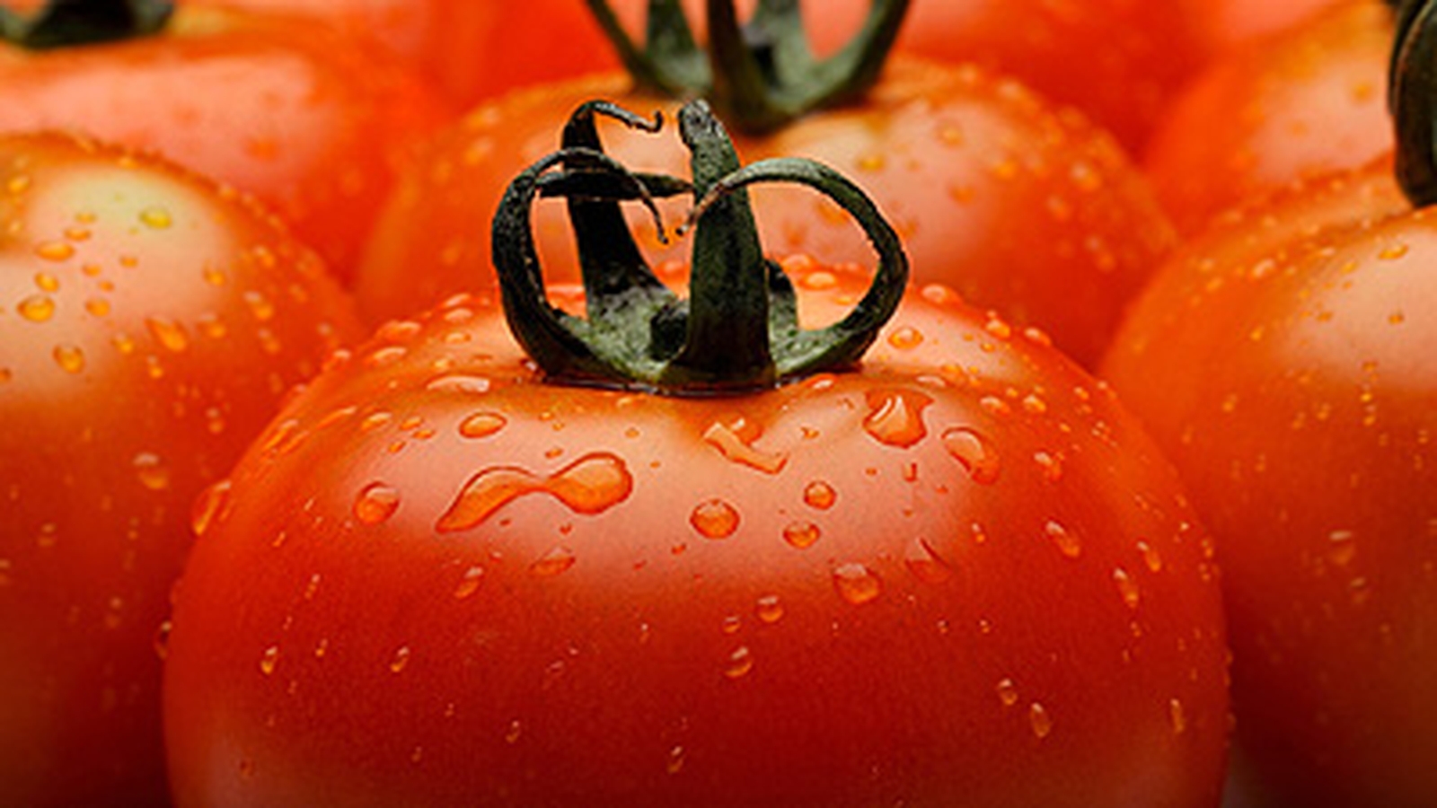 A Simple Spanish Tomato Salad