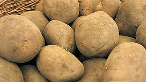 Richard Corrigan's Roast Potatoes