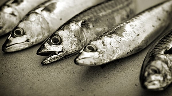 Richard Corrigan's Mackerel Tartar