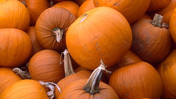 Catherine Fulvio shows you how to roast pumpkin the tasty (and easy!) way.