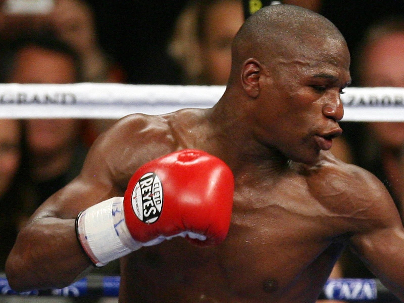 Mayweather knocks out Hatton in tenth