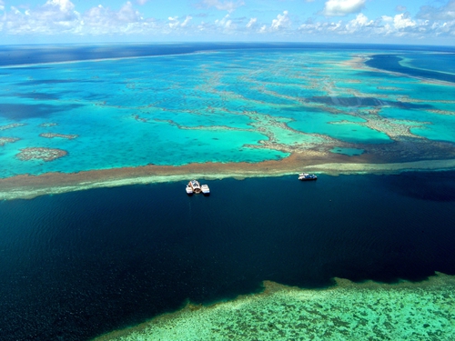 Great Barrier Reef - Reef may disappear