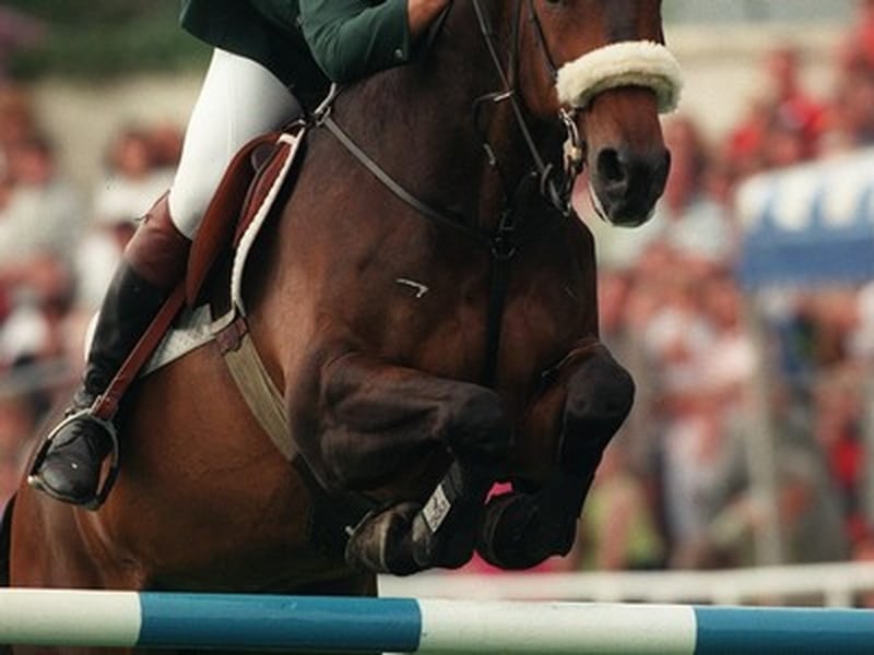 Ireland Equestrian team named