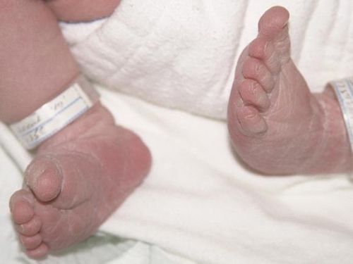 Births - 18,792 births registered in the third quarter of 2008
