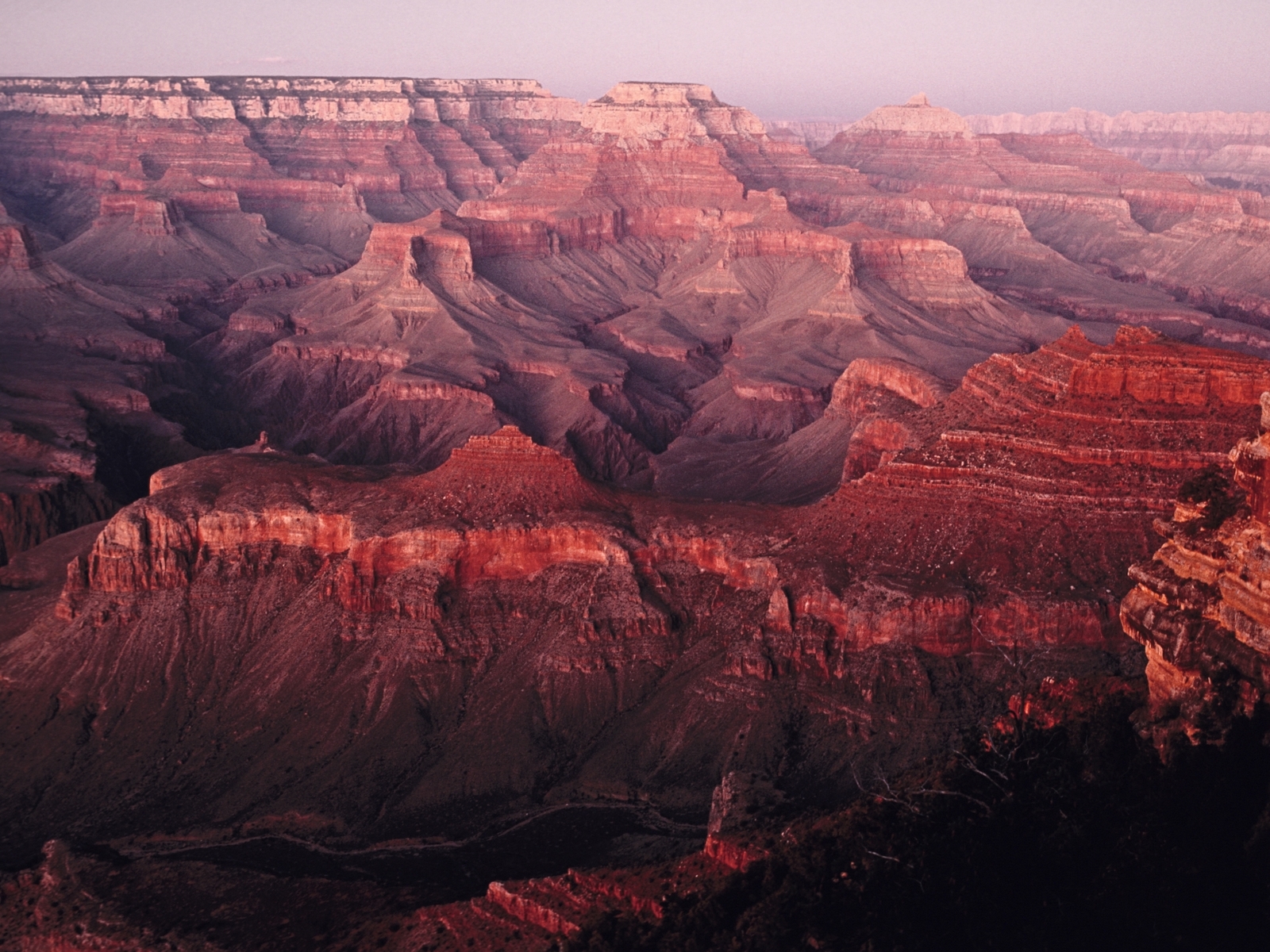 Grand Canyon rescue as dam bursts