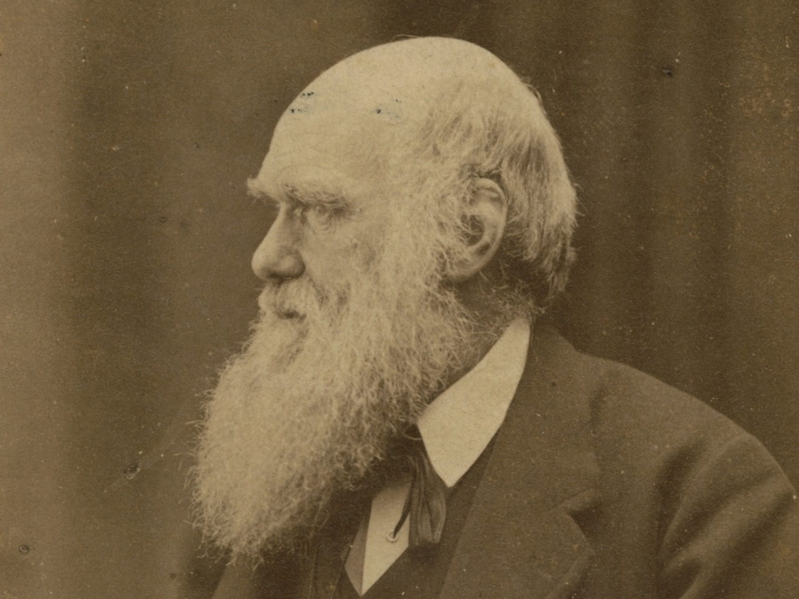 Events to mark Darwin's birth