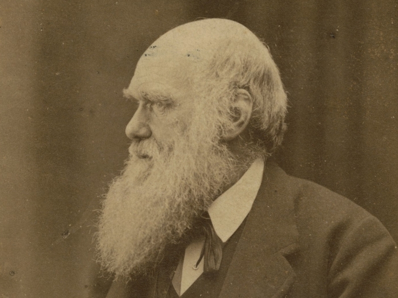 Events To Mark Darwin's Birth