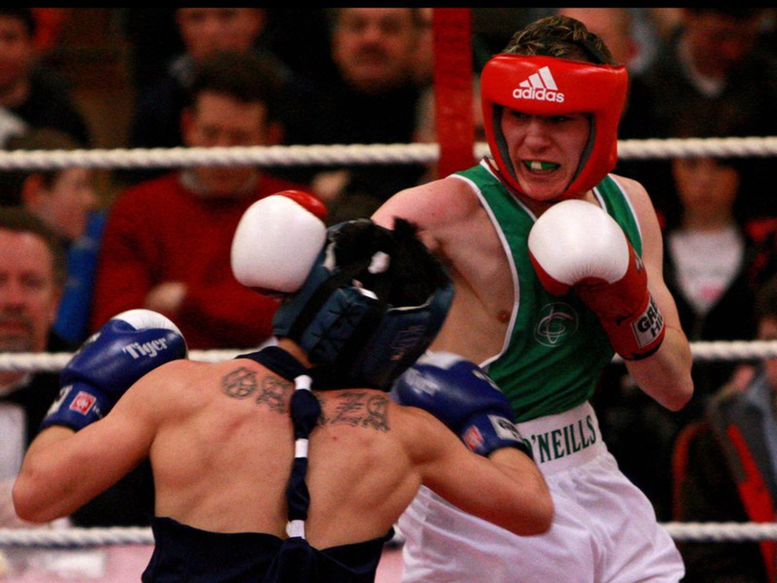 Further success for Irish boxers