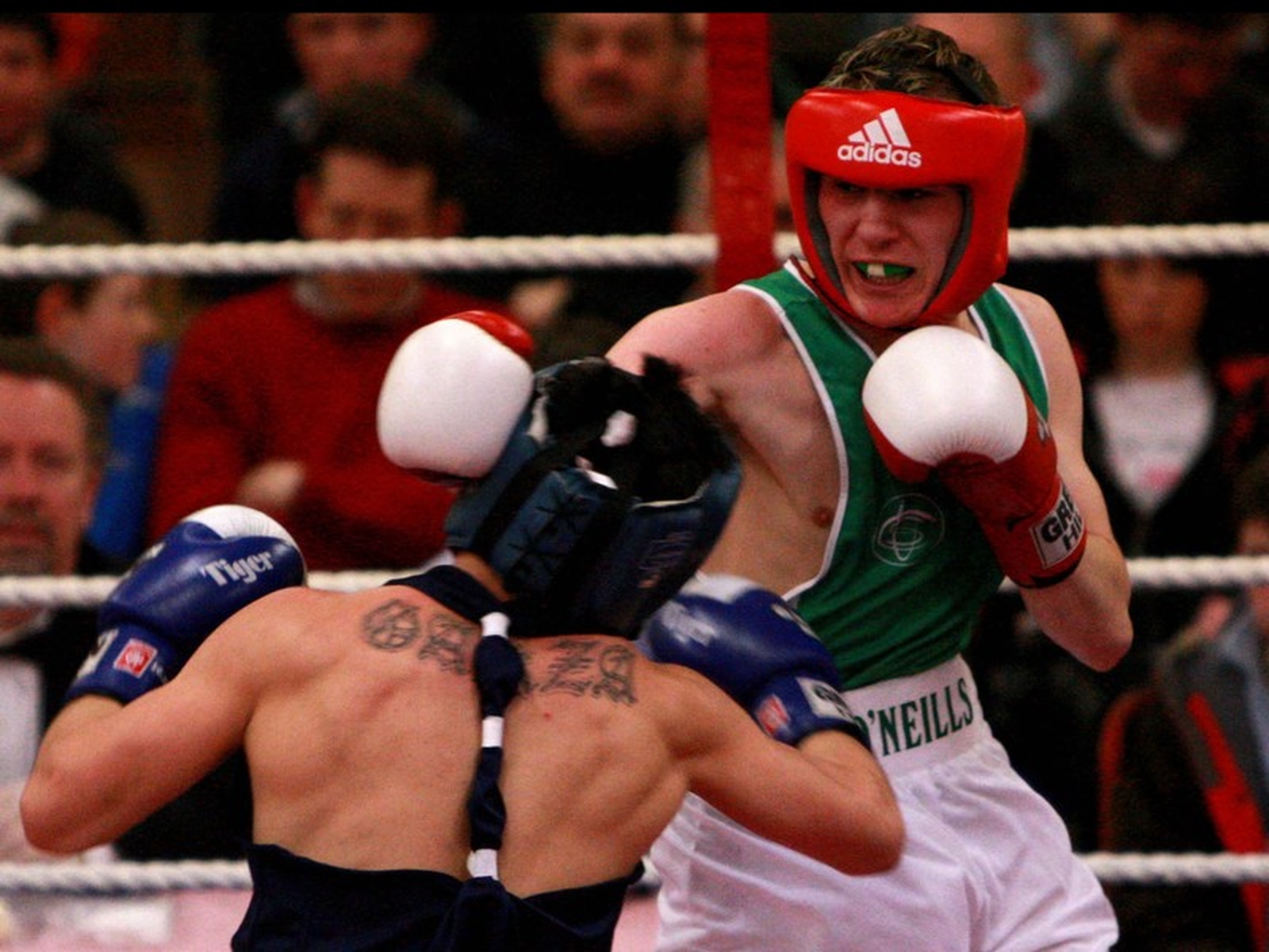 Further Success For Irish Boxers